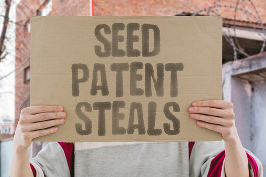 "Seed patent steals" Corporate ownership of plant genetics. SEED. PATENT. FOOD. CONTROL. HARVEST.