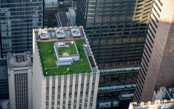 New york, usa august 22,2024. Manhattan rooftop transforming into a sustainable green space. City skyline view showcasing urban architecture and modern environmental concepts