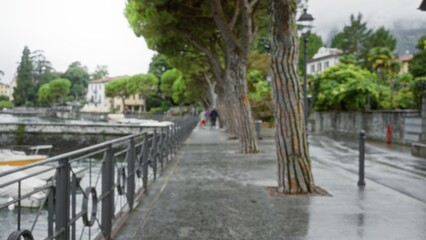 Obraz premium Waterfront promenade in soft defocused bokeh with tree trunks, railing and wet stone path city; background backplate copyspace calm.