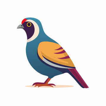 Stylized Illustration of a Colorful Bird