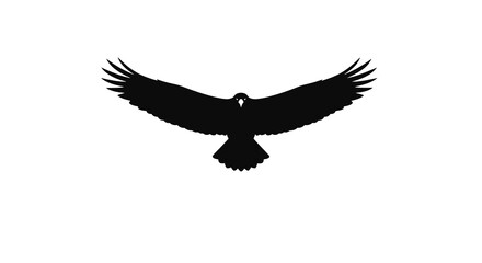 Fototapeta premium Soaring raven with outstretched wings black silhouette