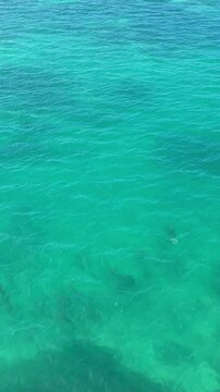 Aerial shot looking down at be beautiful blue ocean waters around the Florida Keys. Vertical video.