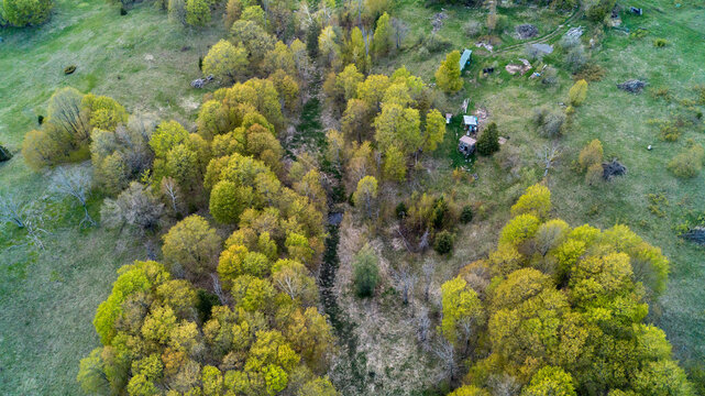 A high-angle drone photograph capturing a tiny off-grid bunkie cabin and storage shed nestled in a green grassy clearing beside a winding creek valley and dense spring forest canopy in Haliburton.