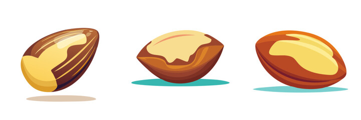 Obraz premium Set of three Brazil nuts on a white background with artistic shadows