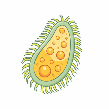 Cartoon Bacterium Illustration
