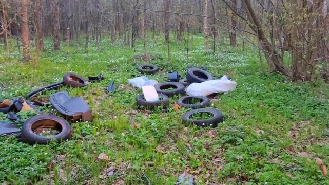 There is a lot of debris and old car tires in the wooded area. Environmental pollution, recycling of waste and materials. An environmental problem.