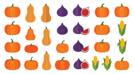 Fototapeta premium Collection of various autumn harvest vegetables and fruits.