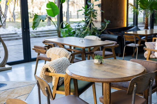 Interior of modern cozy cafe with wooden furniture and plants
