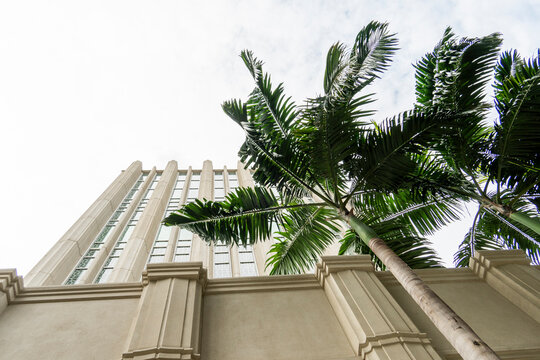 In front of The LDS Bangkok temple