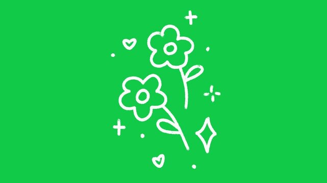 Hand Drawn Growing Flowers Garden Scene 2D Animation on Green Screen