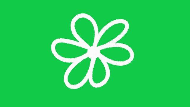 Hand Drawn Five Petal Daisy Flower 2D Animation on Green Screen
