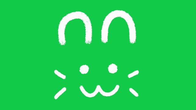 Hand Drawn Cute Bunny Face Outline Animation on Green Screen Overlay