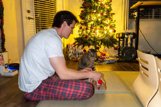 Man with dog and cat by Christmas tree indoors