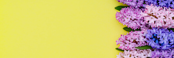 Fototapeta premium Bright flowers in shades of pink and purple arranged on a yellow background create a cheerful scene in spring