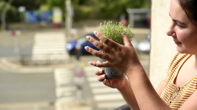 A female hand inspects the leaves of a thyme plant, Thymus vulgaris, for insects. The herb grows in a grey pot with French text about being one hundred percent recyclable.