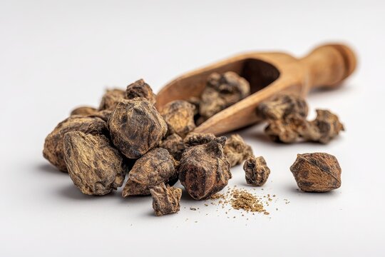Devil's claw root on white background, dried medicinal herb in natural light