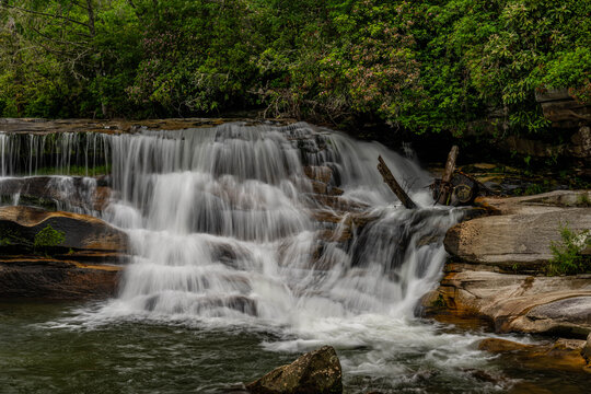 living waters