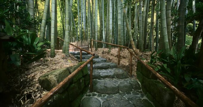 Bamboo Forest Wide Path Wooden Rail Fence People in Distance Tokyo