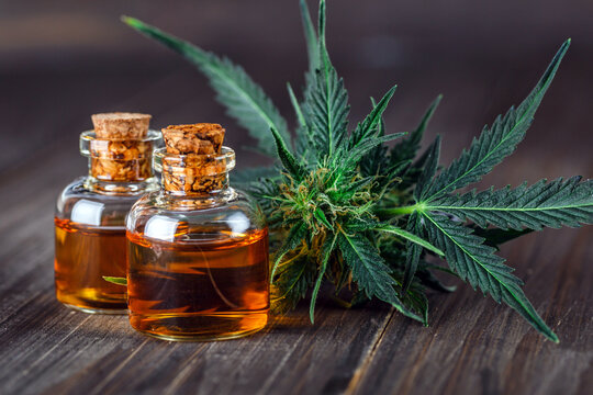 Green leaves of medicinal cannabis with extract oil.Medical marijuana flower buds. Hemp buds - medical marijuana concept