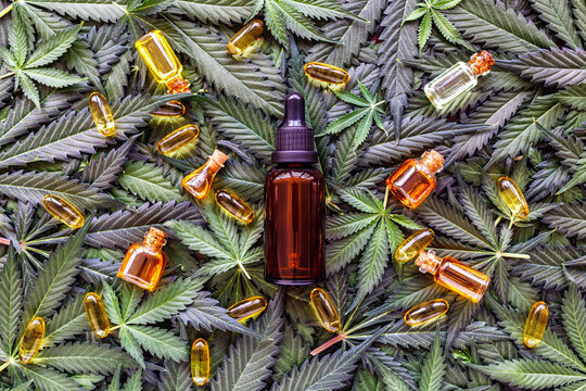 Hemp cannabis leaves and beauty products.Marijuana extract in cosmetology.Wild hemp oil, leaves and seeds.Legalized cannabis for skincare products.