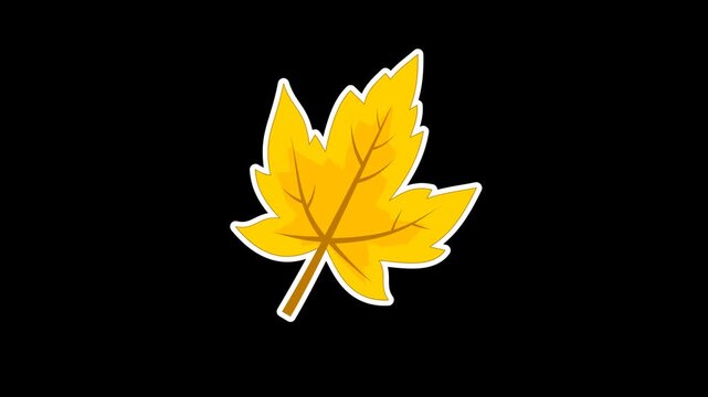 Seamless looping animation of a swinging yellow maple leaf for autumn and fall seasonal concepts. Flat style sticker design element on transparent alpha channel background
