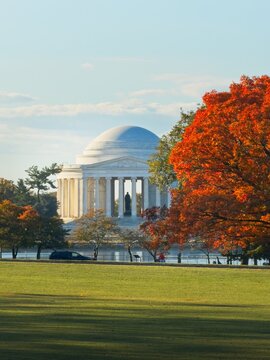 autumn in the park with the jefferson memorial in the background by the tidal basin with fall foliage
