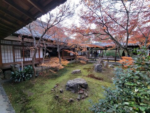 a zen garden in the fall 
