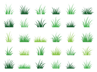 Fototapeta premium Green grass doodle. Lawn, turf or meadow, field blades for garden and park. Plant silhouette and grass border for spring, summer natural landscape. Ecology, botanical clipart. Vector isolated set