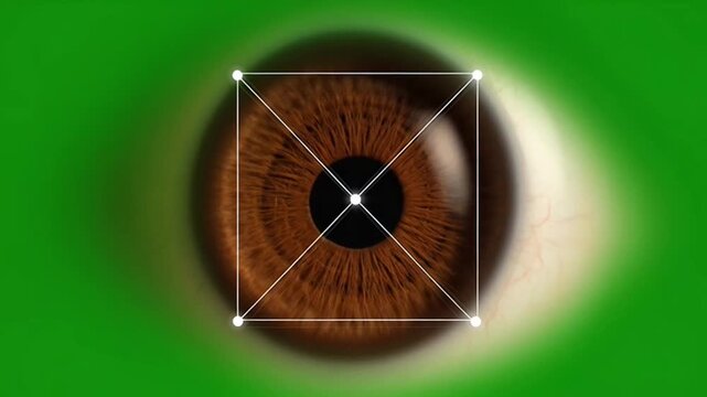 Biometric iris scanner scanning brown human eye on green screen background.