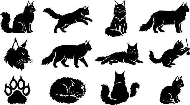 Maine coon cat silhouette icon set, flat black glyph style, pure white background