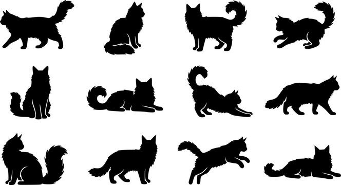 Maine coon cat silhouette icon set, flat black glyph style, pure white background
