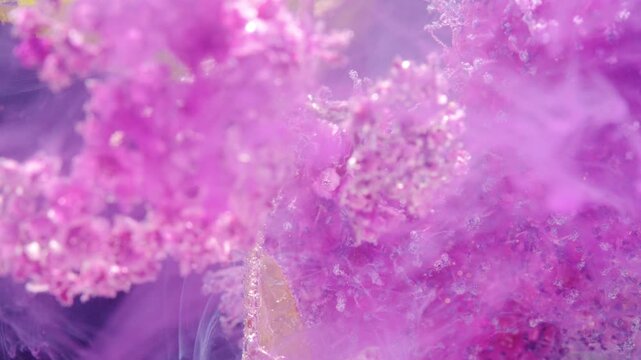 Abstract close-up of swirling purple dust and mist with shimmering particles, soft light, and a dreamy textured background spreading across the frame