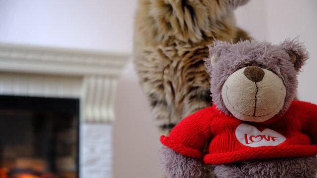 Cozy room, norwegian forest cat and teddy bear by the fireplace. The warm, dancing flames cast a gentle glow on the walls. Atmospheric mood