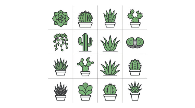 Collection of various green potted cacti and succulents.