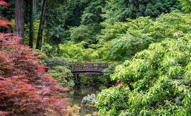 Obraz premium Moon Bridge and Strolling Pond Garden at the Portland Japanese Garden