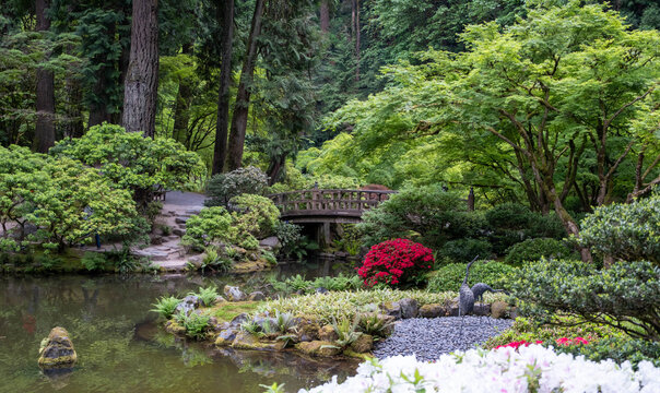 Strolling Pond Garden in Spring Bloom at the Portland Japanese Garden