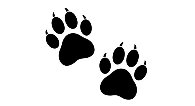 Animal paw prints with sharp claws, black silhouette of wild beast tracks, predator footprint vector illustration on white background