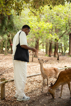 Feeding deer with shika senbei