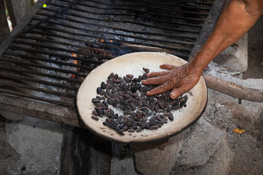 Anonymous hand preparing cacao beans on a grill