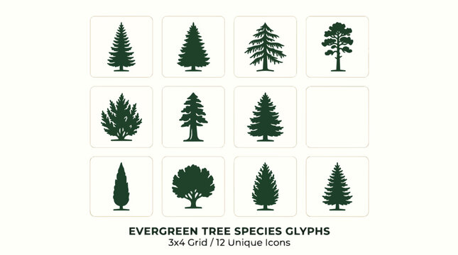 Collection of diverse evergreen tree species in simple glyph form.