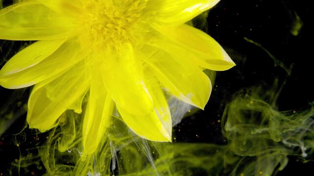 Bright yellow chrysanthemum-like flower partially submerged in dark liquid with swirling yellow and green ink plumes and tiny suspended