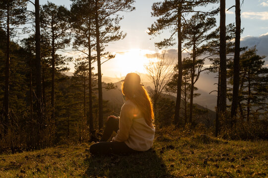 Watching the Sunset in the Forest on a Clear Day