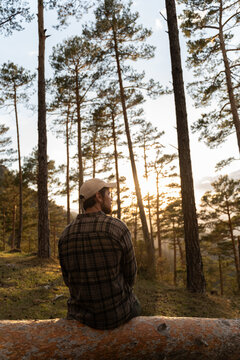 Man Sitting on Log in Forest During Sunset 