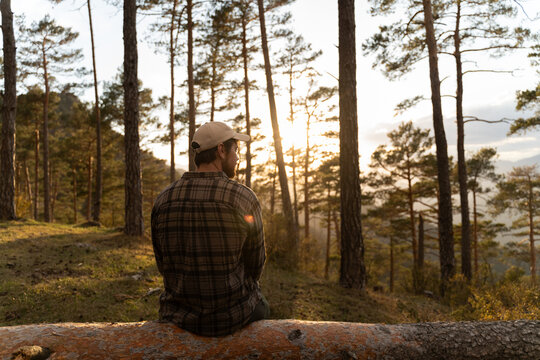 Man relax on Log in Forest During Sunset 