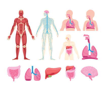 High blood pressure and hypertension heart character mascot collection
