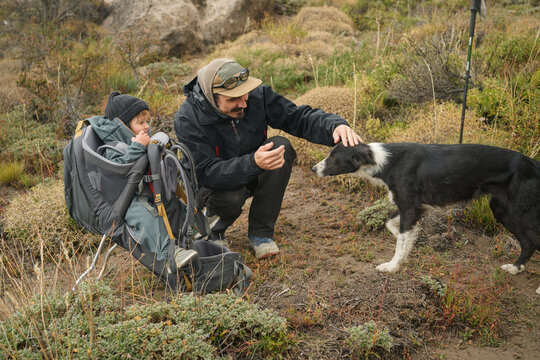 Family Enjoys Time Outdoors With Dog and Child in Nature