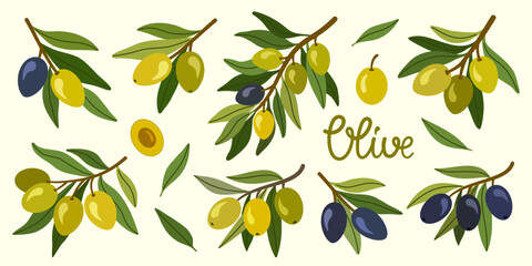Olive branch collection with green and black olives. Hand drawn Mediterranean botanical set featuring olive fruits, leaves and twigs. Vector illustration for packaging, food branding, labels. © IRYNA
