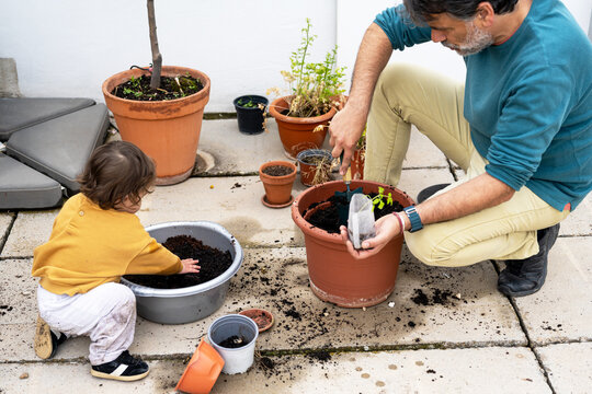 Parent And Baby Gardening On Terrace Floor