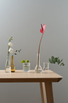 Anthurium Focus with Supporting Floral Elements