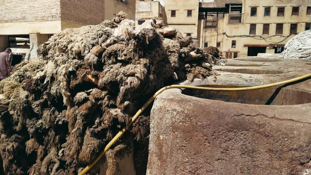 Raw Leather Before The Process And Production In The Tannery